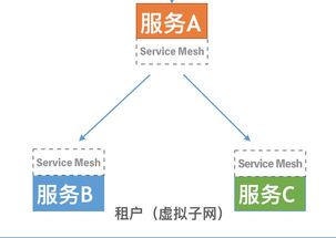 技術(shù)解讀 Rainbond ServiceMesh微服務(wù)架構(gòu)與開源PaaS平臺的數(shù)據(jù)處理與存儲支持